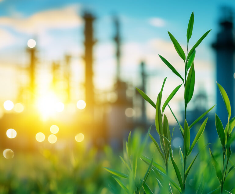 Fridays for Future, salvare il futuro non ha prezzo